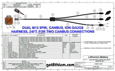 Click here for a larger image of the ION Gauge harness